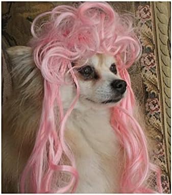 NC Pet Malzemeleri Headdress gibi Giyinmiş pet Peruk kedi Peruk Köpek Peruk Turuncu