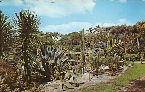 Sarasota, Florida Kartpostalı