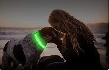 PET-PHET Light Up köpek tasması-Gece Güvenliği, Günlük kullanım, Gece Yürüyüşleri, Kamp ve Yürüyüş için su geçirmez