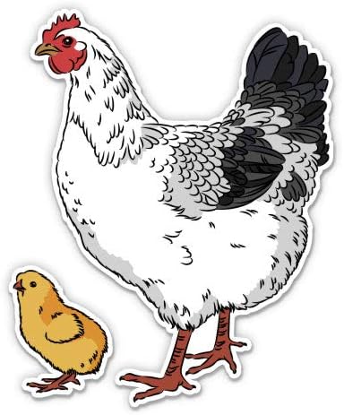 Tavuk ve Civciv Güzel Arka Bahçe Tavuk Darbe-5 vinil yapışkan - Araba Laptop için İ-Pad-Su Geçirmez Çıkartma